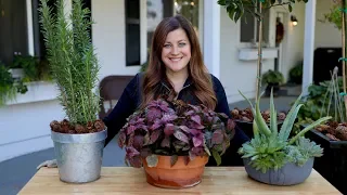 How to Bring Your Plants Inside to Overwinter! 🌿// Garden Answer