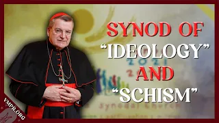 Cardinal Burke Denounces Synod of Synodality