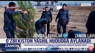 Sirdaryo viloyati yashil hududga aylanadi