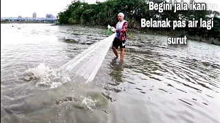 Jala ikan belanak saat air surut hasilnya babon semua / Cast Net Fishing For Mullet