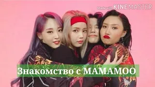 Знакомство с MAMAMOO (биография группы, учимся различать участниц)