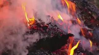 Свят э,Свят,Господь Саваоф  (минус)