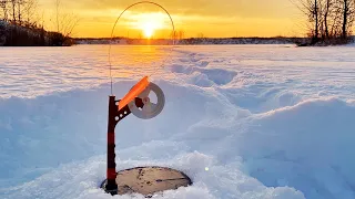 ЖЕРЛИЦЫ ГОРЯТ🔥Искал щуку, а меня нашел плоский лЯщ😁