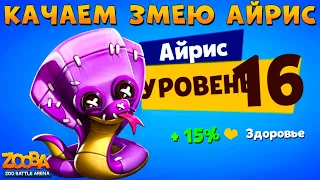 КАЧАЕМ ЗМЕЮ АЙРИС НА 16 УРОВЕНЬ В ИГРЕ ZOOBA