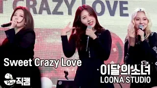 [LOONA Studio 직캠] ODD EYE CIRCLE Sweet Crazy Love 181124