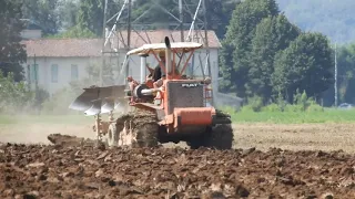 aratura con fiatallis 14, ai piedi del castello di torrechiara (17-8-19)