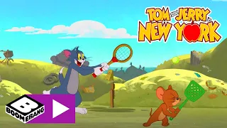 Tom & Jerry in New York | Mist, Ratten! | Cartoonito