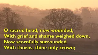 O Sacred Head, Now Wounded (Tune: Passion Chorale - 4vv) [with lyrics for congregations]