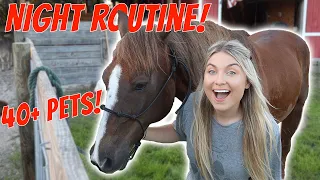 My Winter Night Routine | *SUPER CUTE ANIMALS*