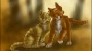 Stumble - The Love of Sandstorm X Firestar