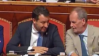 Il sorriso enigmatico di Salvini alla richiesta del voto di fiducia da parte di Draghi