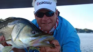 Snook Fishing Florida for Monster Fish Under 10 Cent Bridge