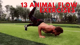 13 ANIMAL FLOW MOVEMENTS // [Bodyweight training]