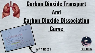 Caron dioxide Transport | CO2 dissociation curve | Haldane Effect || Respiratory Physiology