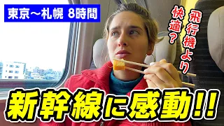 外国人が日本の新幹線が世界一と確信した理由