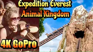 Expedition Everest Roller Coaster On Ride 4K POV | Disney’s Animal Kingdom