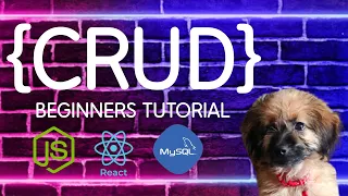 REACT JS   BEGINNERS CRUD SYSTEM |  CREATE FUNCTION  PART 1