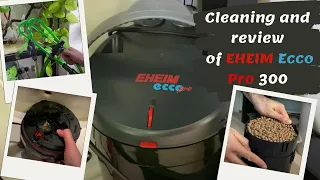 Cleaning and review of EHEIM Ecco Pro 300