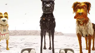 Isle of Dogs Sneezes