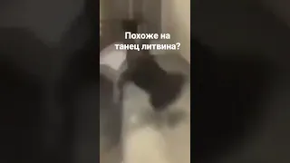 хаххаах