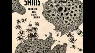 The Shins - Australia