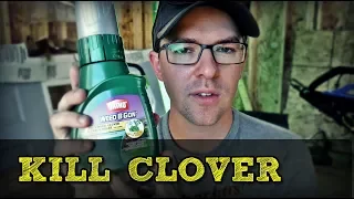 How To Kill Clover In Your Lawn The Cheap Way