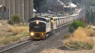 AMAZING vintage locomotive lashups! BRILLIANT Sound! SSR trains around Victoria.