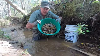 Panning And Sluicing For Gold In A Small Stream