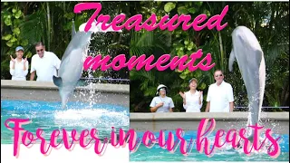 JOYFUL MOMENTS WITH THE DOLPHINS @ SEAWORLD ORLANDO//Feeding Dolphins