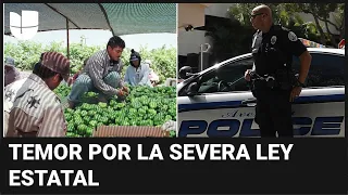 Ley contra inmigrantes en Florida: policía de Miami-Dade asegura que no perseguirá a indocumentados