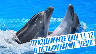 Праздничное шоу 11.12 в дельфинарии "Немо"
