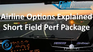 Short Field Performance Package | PMDG Airline options explained | Real 737 Pilot