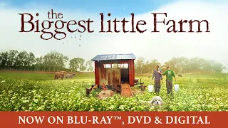 The Biggest Little Farm | Trailer | Own it now on Blu-ray, DVD & Digital