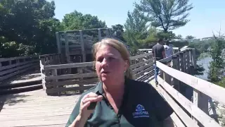 Live tour of Starved Rock State Park