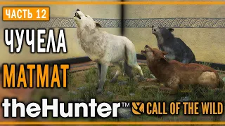 theHunter Call of the Wild #12 🐺 - АЛЬФА-ВОЛК - Кoмпозиции из Чучeл