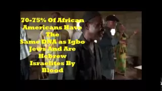 Many So-Called "African Americans" Are Descendants Of Yoruba and Igbo Hebrews