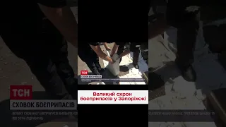 💣 Набої, тротилові шашки та підривачі! У Запоріжжі виявили велику схованку боєприпасів!