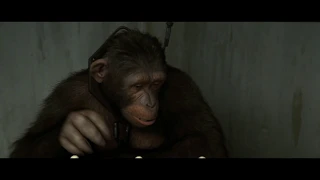 Rise of the Planet of the Apes (2011) (4K HDR) - Advanced photorealistc animal CGI