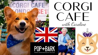 QUEEN’S PLATINUM JUBILEE CORGI CAFE EVENT 2022 LONDON | POP + BARK