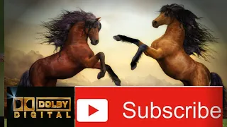 You Would Want a Horse after Finishing this Video #Funny and Cute Horse Videos #deepaksoni