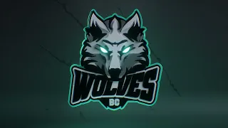 BC „Wolves“ – naujas žaidėjas krepšinio pasaulyje