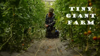 Tiny Giant Farm