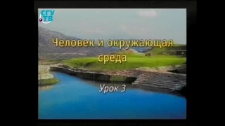 Урок 3. Чем опасны кислотные осадки?