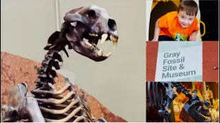 FOSSILS, EDUCATIONAL GAMES, AND INTERACTIVE ART AT THE GRAY FOSSIL SITE MUSEUM AND DIG SITE!