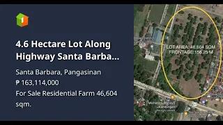 4.6 Hectare Lot Along Highway Santa Barbara Pangasinan