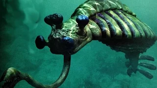 Top 7 INSANE Ancient Creatures - Discoveries of a Rare Unknown New Species