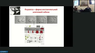 529 заседание Санкт Петербургского общества патофизиологов