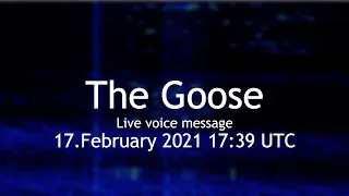 The Goose voice message 17.February 2021 17:39 UTC