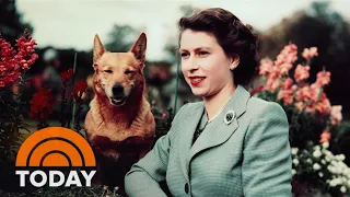 Here’s What Will Happen With Queen Elizabeth’s Corgis