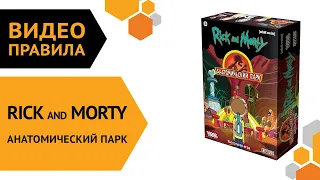 Рик и Морти: Анатомический парк — настольная игра | Правила игры 🎡🎢🏰🎅